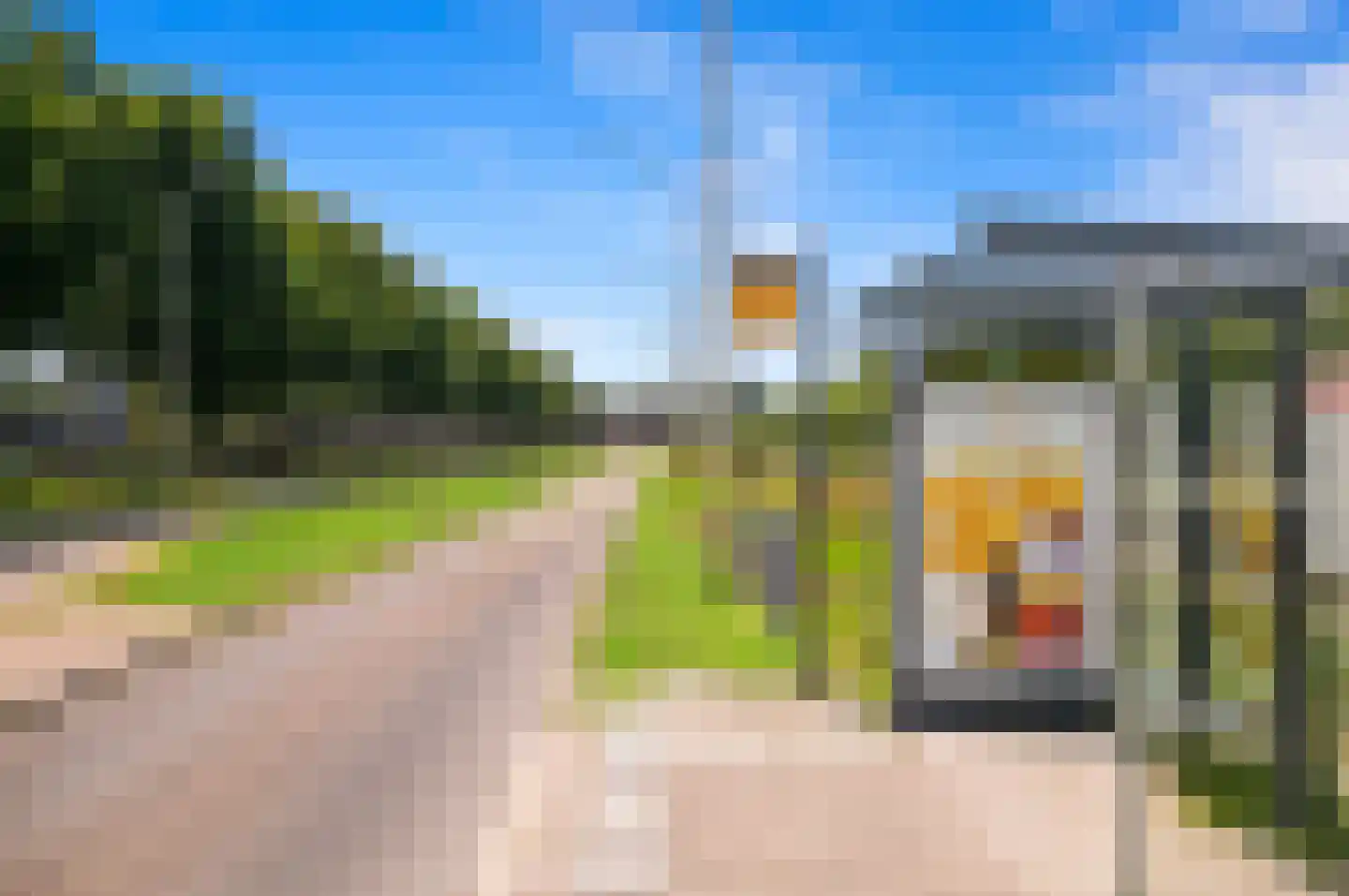 Blauw Glidkruid 63 Den Haag thumbnail 58