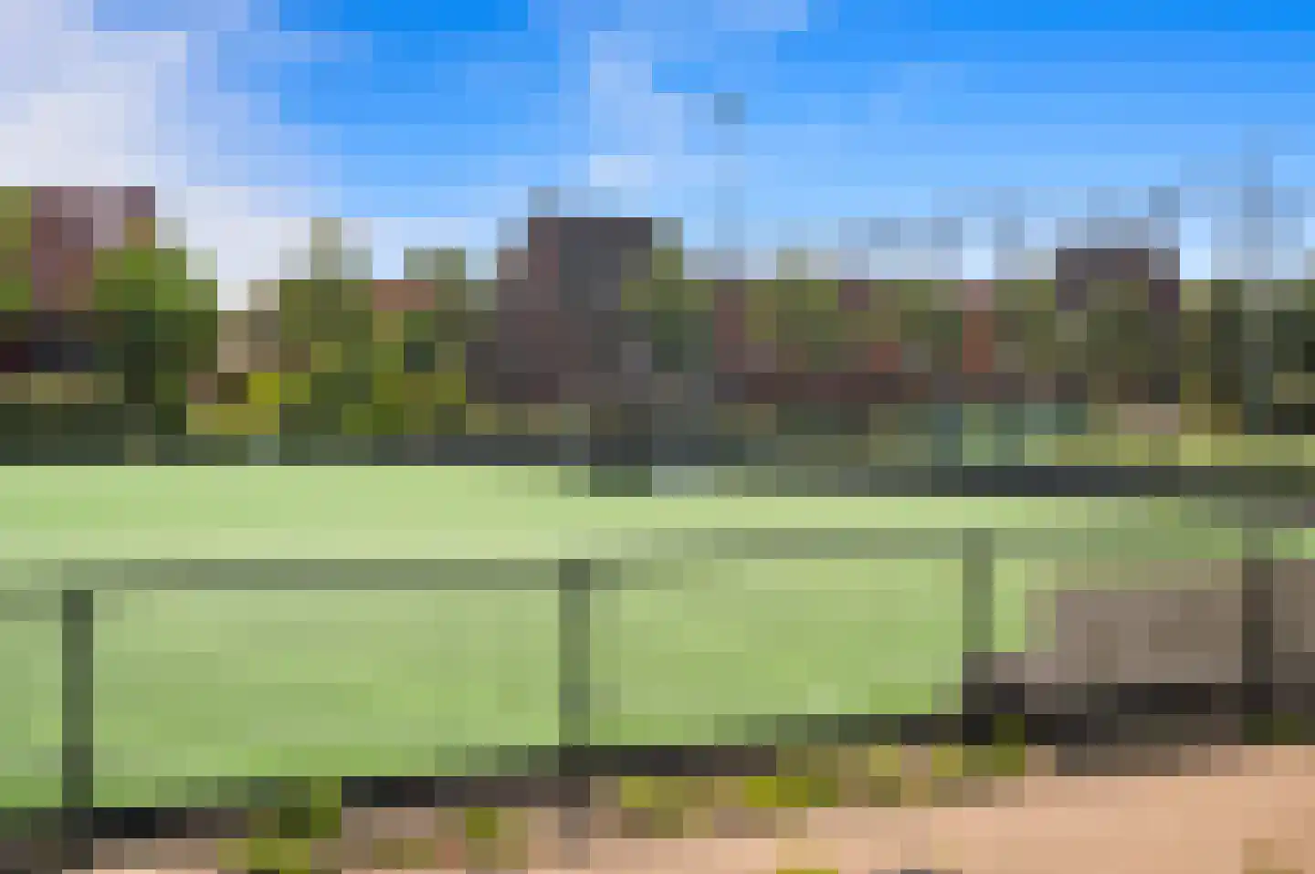 Blauw Glidkruid 63 Den Haag thumbnail 59