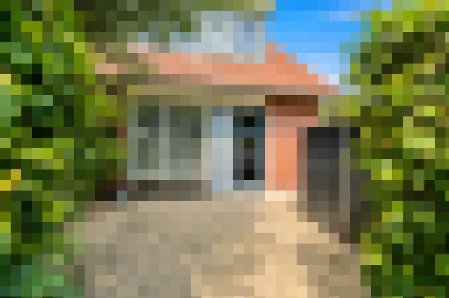 Blauw Glidkruid 63 Den Haag thumbnail 6