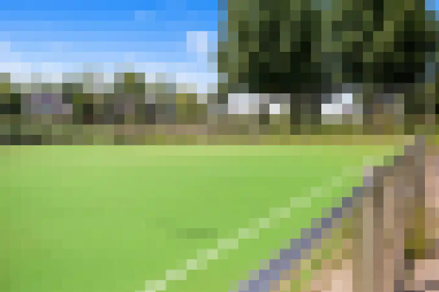 Blauw Glidkruid 63 Den Haag thumbnail 60