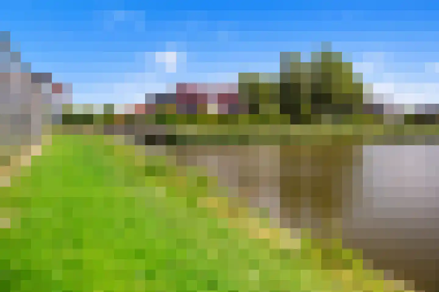 Blauw Glidkruid 63 Den Haag thumbnail 61