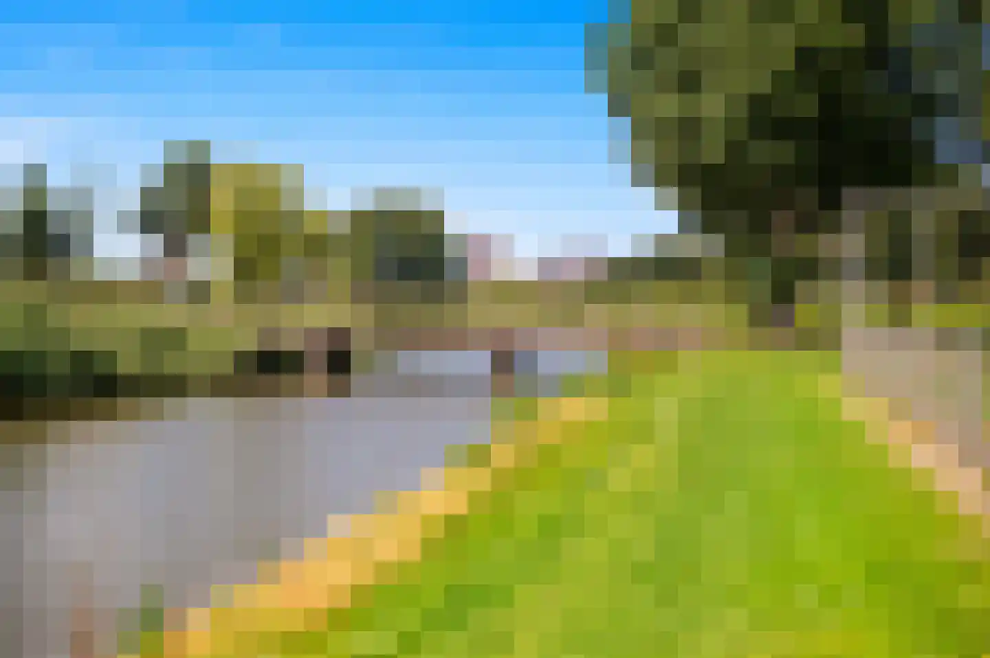 Blauw Glidkruid 63 Den Haag thumbnail 62