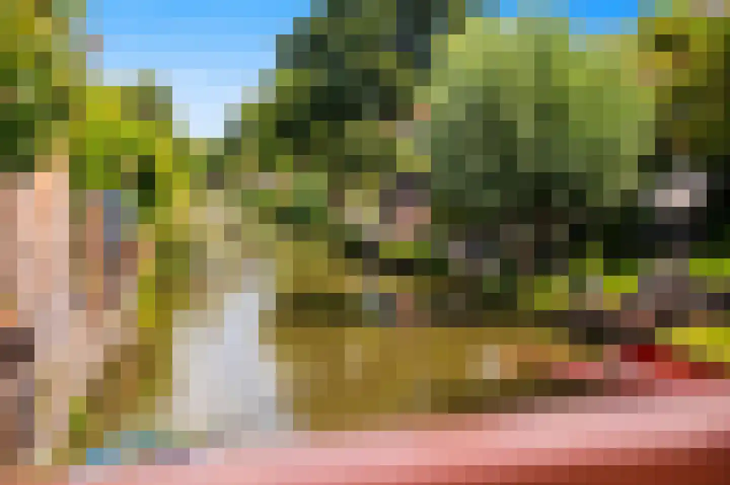 Blauw Glidkruid 63 Den Haag thumbnail 63