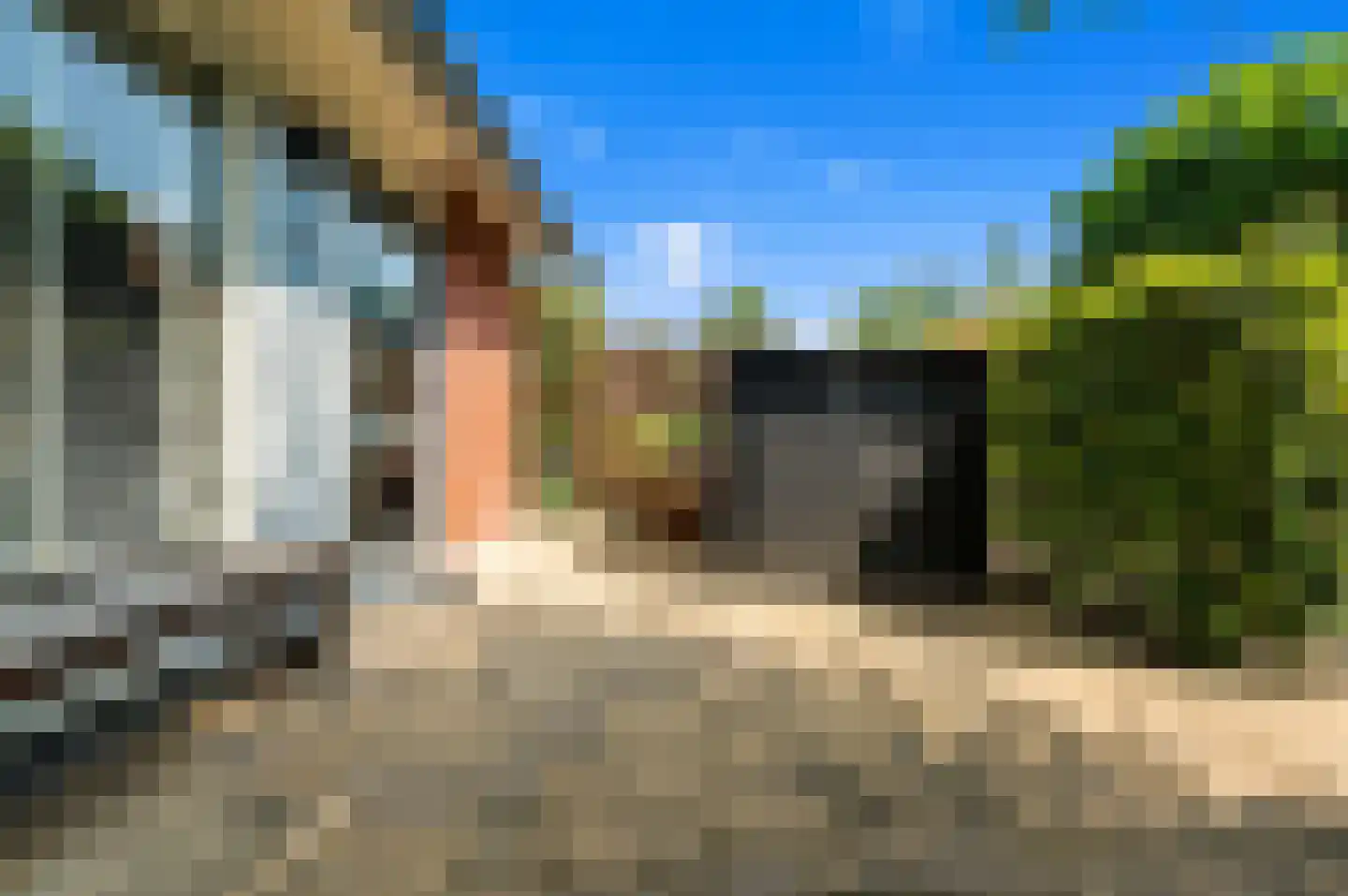 Blauw Glidkruid 63 Den Haag thumbnail 7