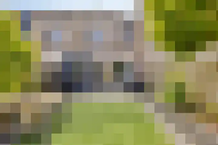 Blauw-roodlaan 119 Zoetermeer thumbnail 14