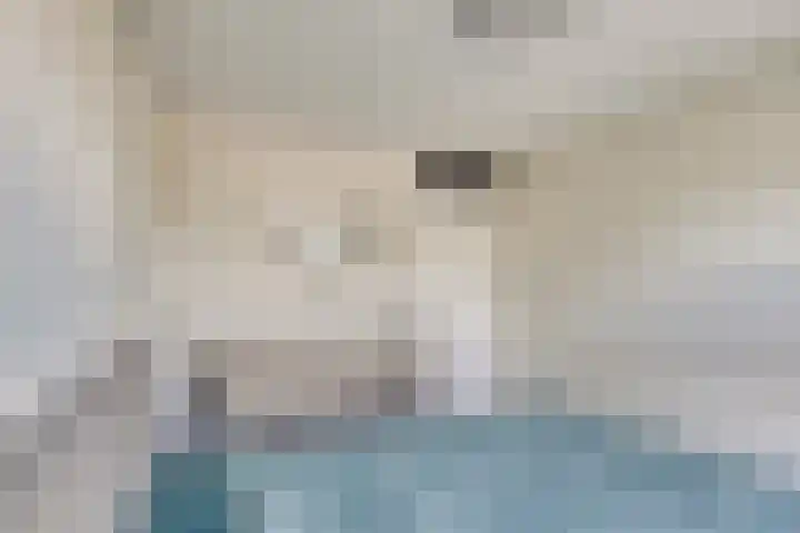 Blauw-roodlaan 119 Zoetermeer thumbnail 22