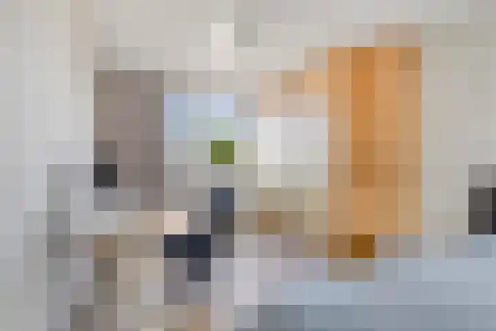 Blauw-roodlaan 119 Zoetermeer thumbnail 33