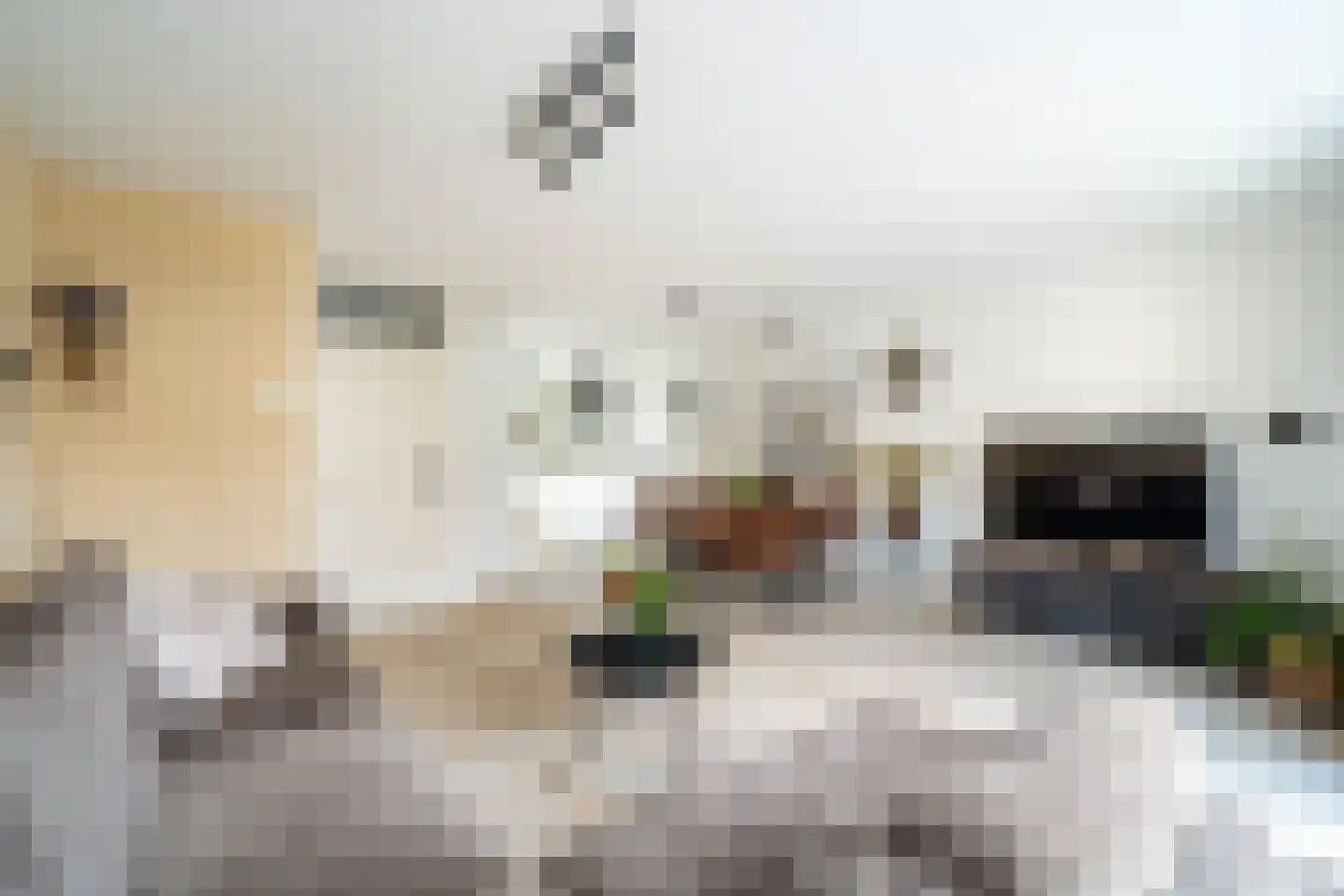 Blauw-roodlaan 141 Zoetermeer thumbnail 13