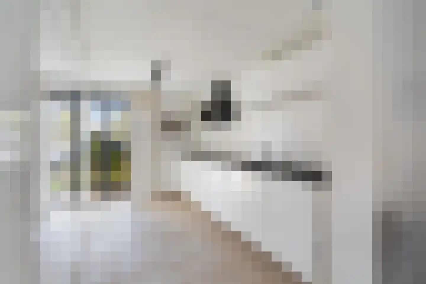 Blauw-roodlaan 141 Zoetermeer thumbnail 17