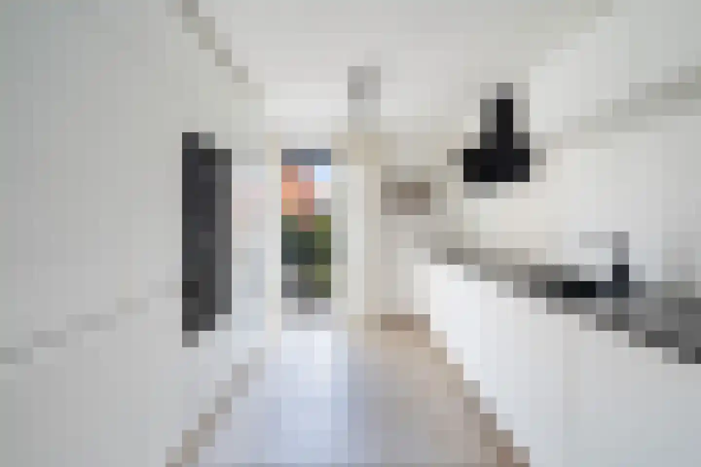 Blauw-roodlaan 141 Zoetermeer thumbnail 18