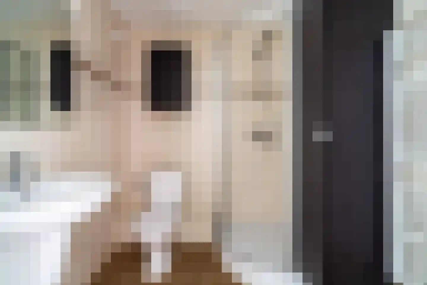 Blauw-roodlaan 141 Zoetermeer thumbnail 37