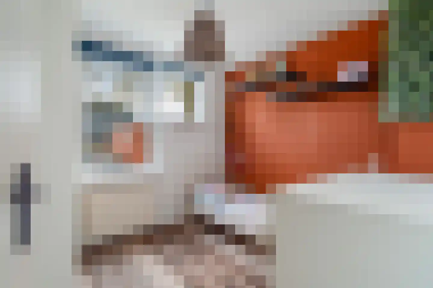 Blauw-roodlaan 141 Zoetermeer thumbnail 41