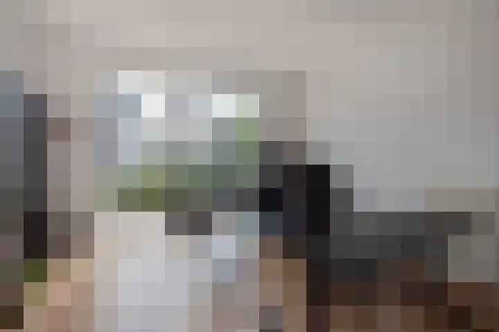 Blauw-roodlaan 62 Zoetermeer thumbnail 10