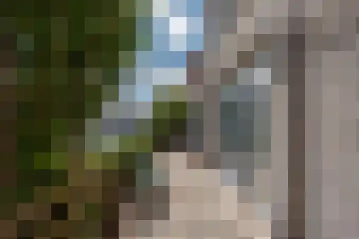 Blauw-roodlaan 62 Zoetermeer thumbnail 20