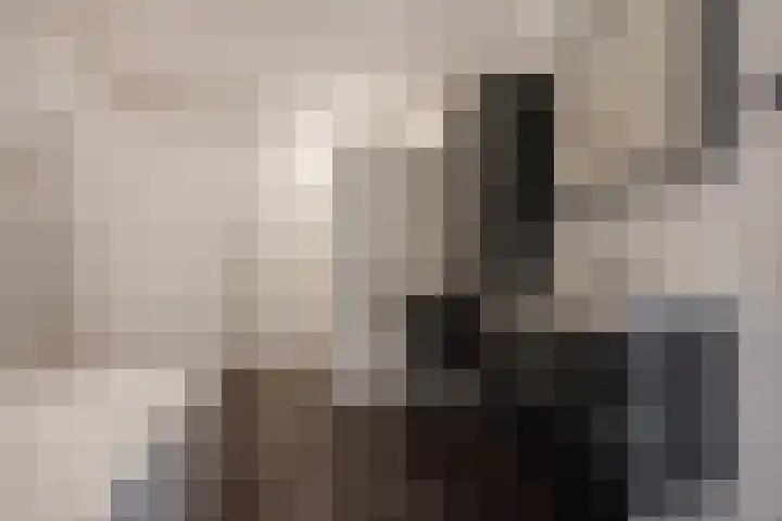 Blauw-roodlaan 62 Zoetermeer thumbnail 4