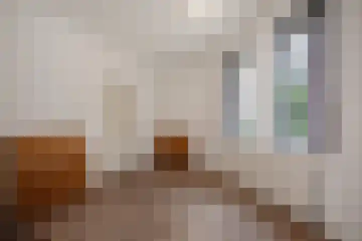 Blauw-roodlaan 62 Zoetermeer thumbnail 8