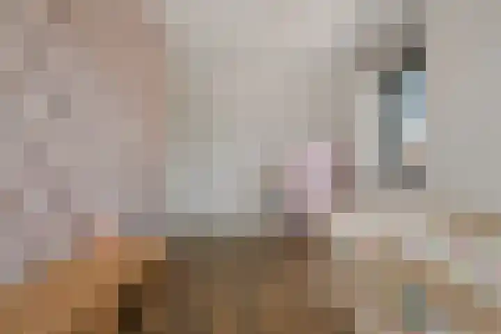 Blauwband 106 Waddinxveen thumbnail 23