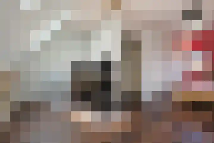 Blauwband 106 Waddinxveen thumbnail 30