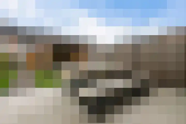 Blauwband 106 Waddinxveen thumbnail 33