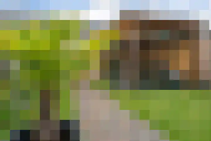 Blauwband 106 Waddinxveen thumbnail 34