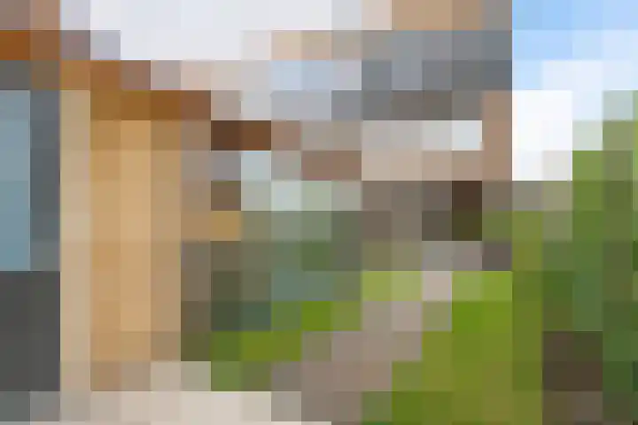 Blauwband 106 Waddinxveen thumbnail 35
