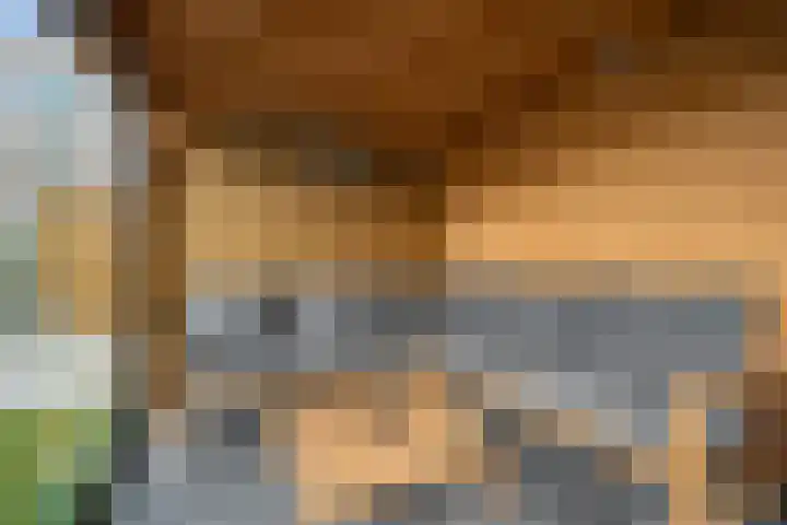 Blauwband 106 Waddinxveen thumbnail 37