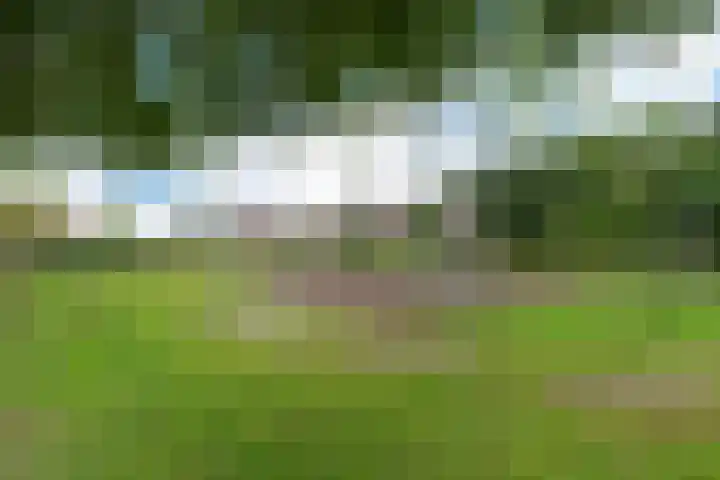 Blauwband 106 Waddinxveen thumbnail 39