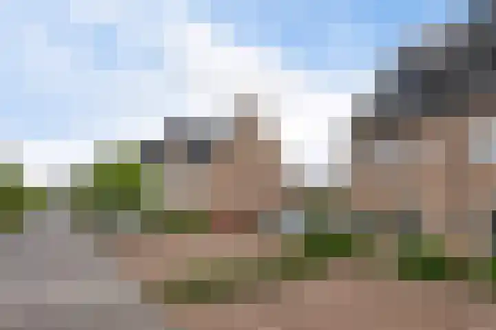 Blauwband 106 Waddinxveen thumbnail 5