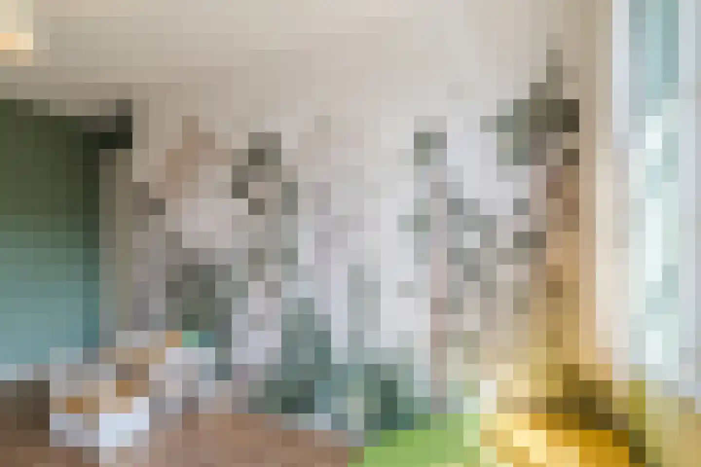 Blauwband 108 Waddinxveen thumbnail 24