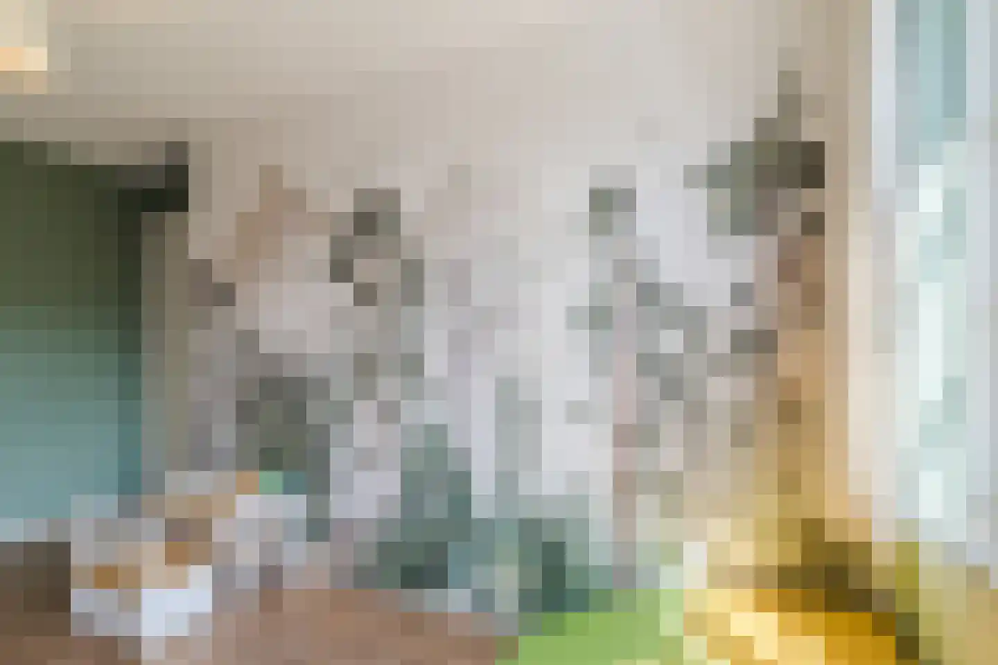 Blauwband 108 Waddinxveen thumbnail 34