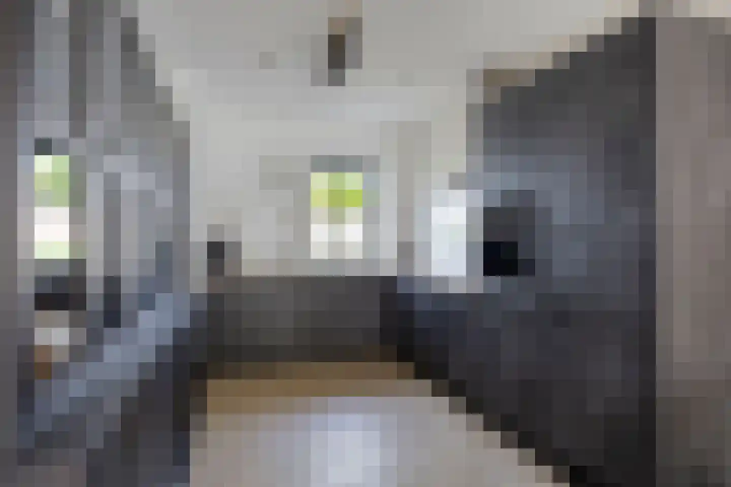 Blauwband 112 Waddinxveen thumbnail 18