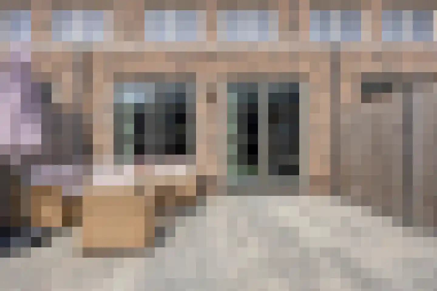 Blauwband 112 Waddinxveen thumbnail 48