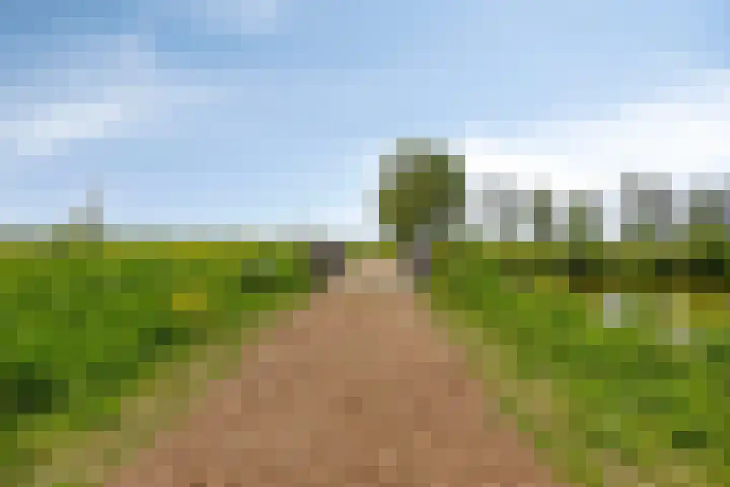 Blauwband 112 Waddinxveen thumbnail 59