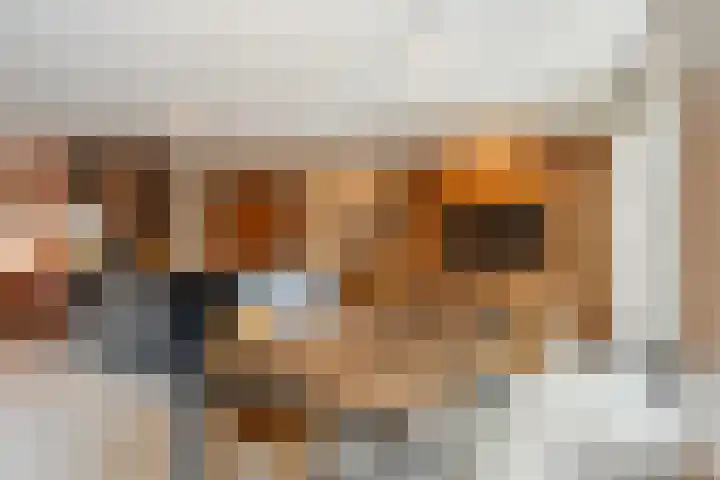 Blauwband 28 Waddinxveen thumbnail 16
