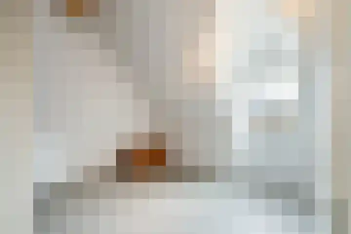 Blauwband 28 Waddinxveen thumbnail 33