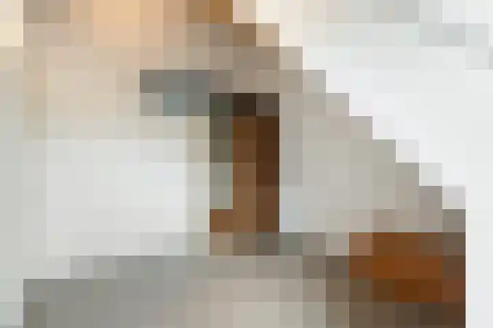 Blauwband 28 Waddinxveen thumbnail 34