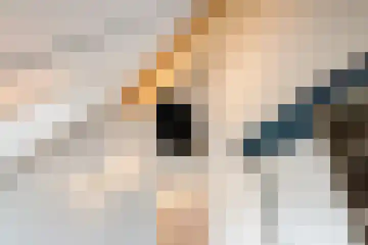 Blauwband 28 Waddinxveen thumbnail 35