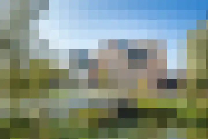 Blauwband 28 Waddinxveen thumbnail 4