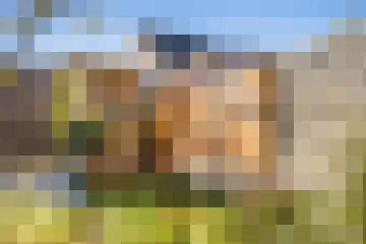 Blauwband 28 Waddinxveen thumbnail 47