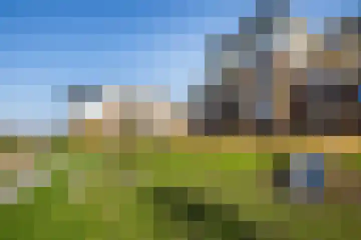 Blauwband 28 Waddinxveen thumbnail 50