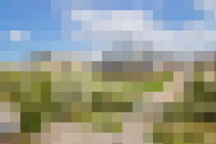 Blauwband 28 Waddinxveen thumbnail 51