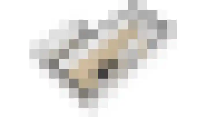 Blauwband 28 Waddinxveen thumbnail 54