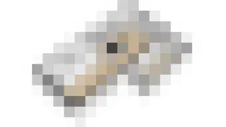 Blauwband 28 Waddinxveen thumbnail 55
