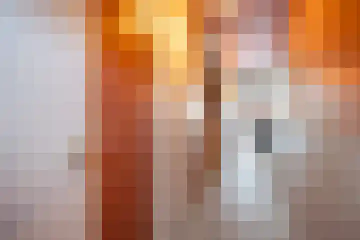 Blauwband 28 Waddinxveen thumbnail 6