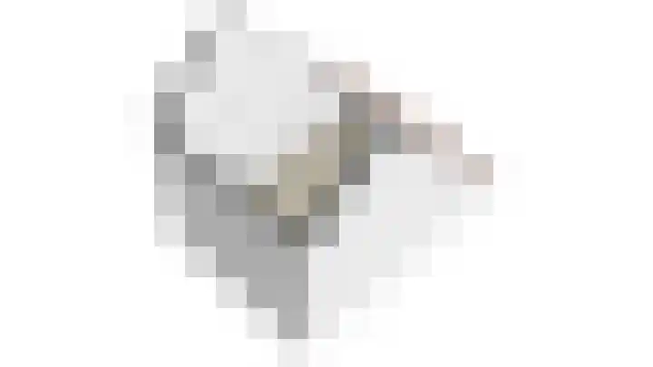Blauwband 28 Waddinxveen thumbnail 63