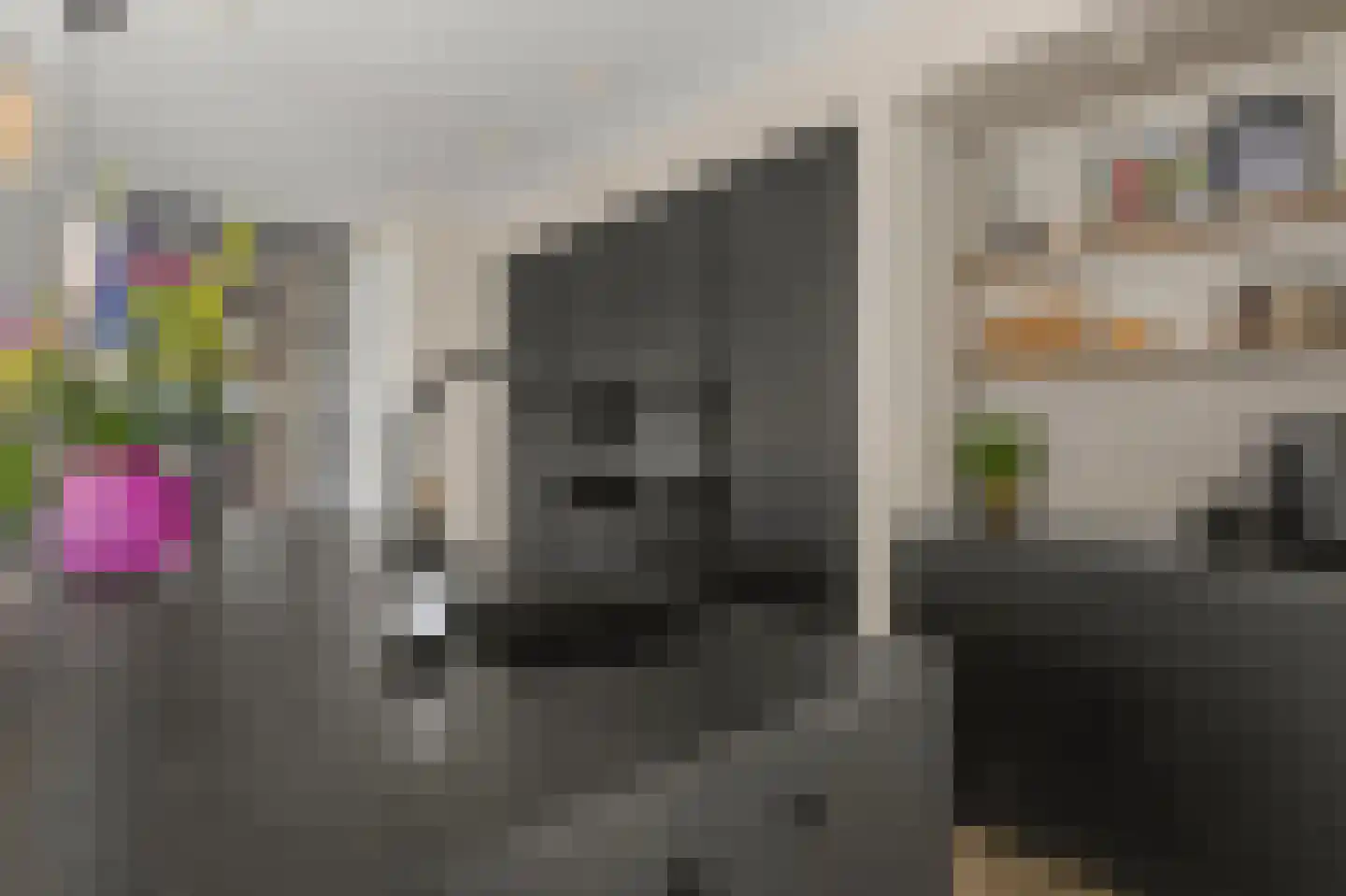 Blauwband 52 Waddinxveen thumbnail 18