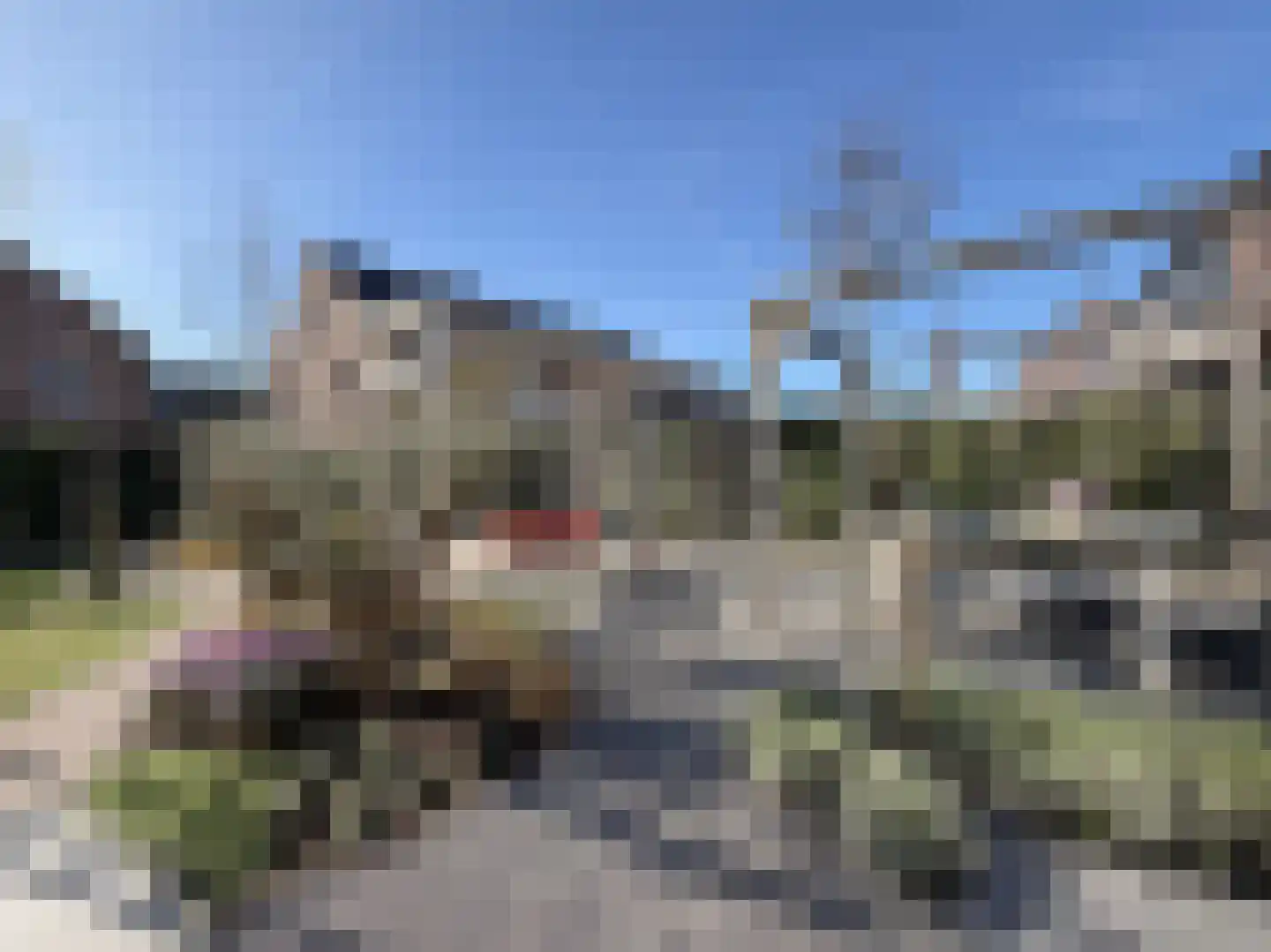 Blauwband 52 Waddinxveen thumbnail 37