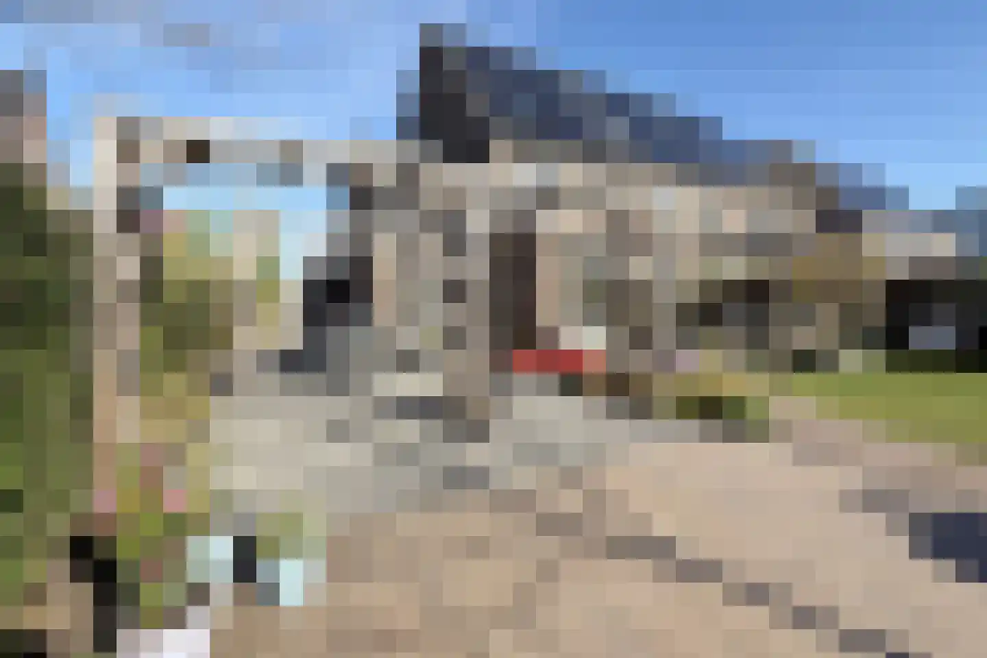Blauwband 52 Waddinxveen thumbnail 38