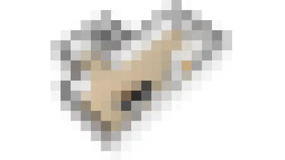Blauwband 52 Waddinxveen thumbnail 49
