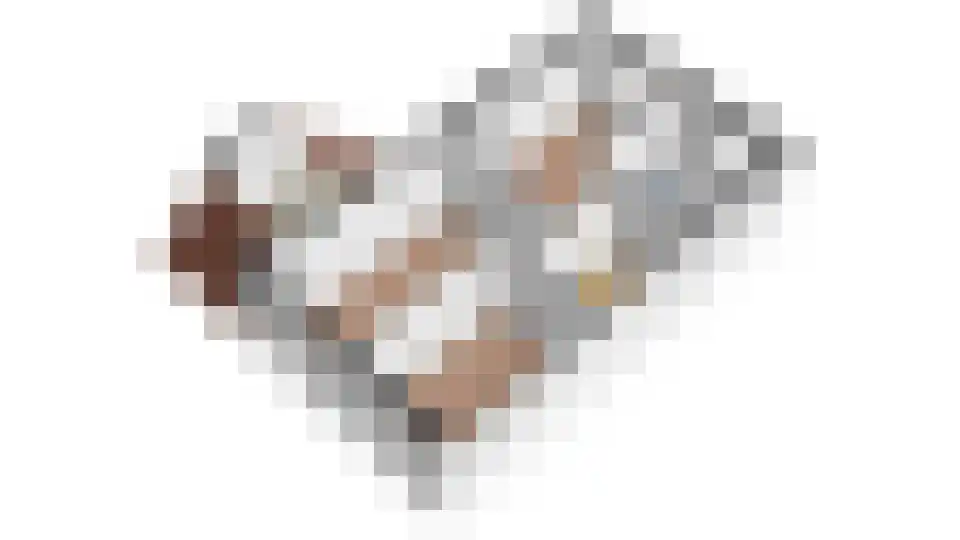 Blauwband 52 Waddinxveen thumbnail 52